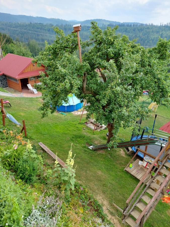 Domek Nad Lasem Koniakow Bagian luar foto